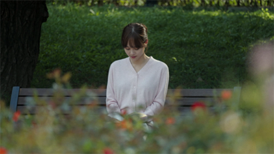 해바라기