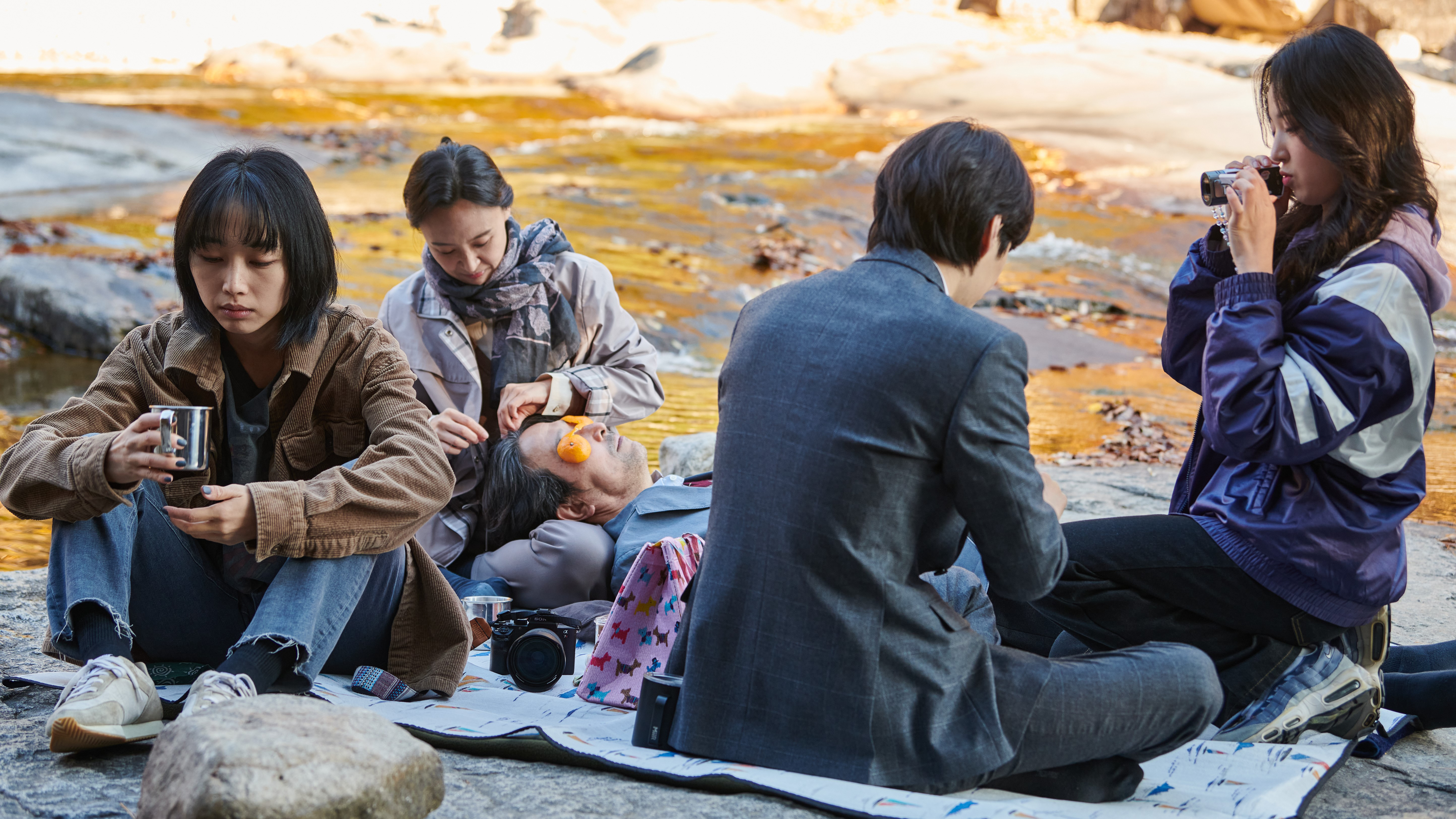 은빛살구